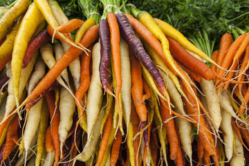 organic carrots for sale at a Farmers Market © Chuck Place