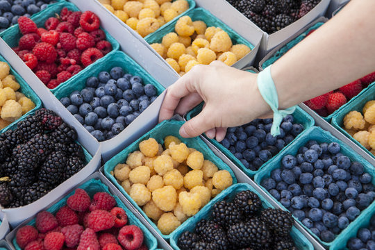 Organic red and gold raspberries, blueberries and blackberries, Farmers Market