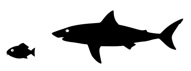 Requin prédateur