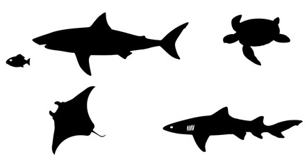 Animaux marins en 4 icônes