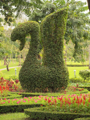 small leaf tree can force to any shape