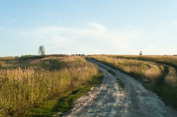 Fototapeta na wymiar village road in a field against the evening sunset