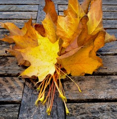 Herbstliche Dekoration
