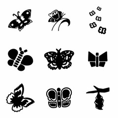 Vector Butterfly icon set