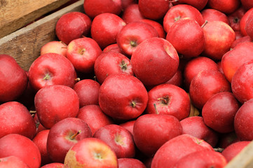 Group of red apples in a wooden box