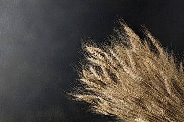 wheat on black background