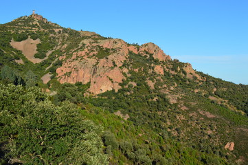 Fototapeta na wymiar Forêt méditerranéenne