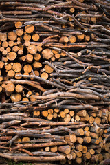 Bundle of firewood neatly folded