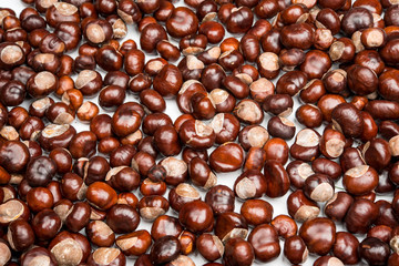 Close-up of chestnuts