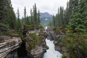 Canyon Rushing River