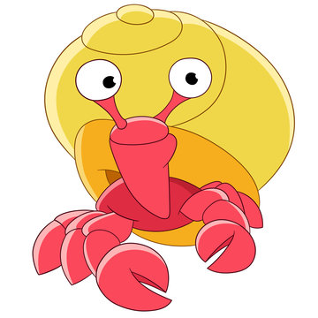 cute hermit crab
