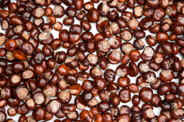 Close-up of chestnuts