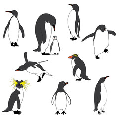 Obraz premium Illustration of the Penguins. Vector Image