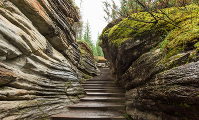 Wavy Rock Stair Path