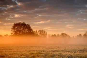 Foto op Plexiglas Oranje mistige zonsopgang © chalik