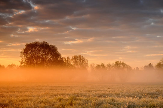 Orange misty sunrise © chalik