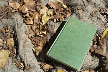 Libro cerrado en otoño