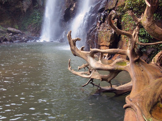 Obraz na płótnie Canvas Beautiful waterfall