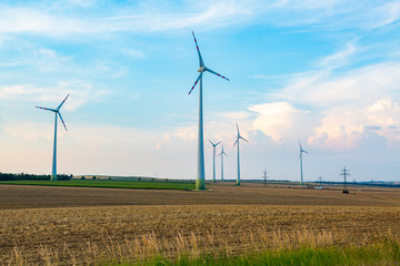 Windmills on the field