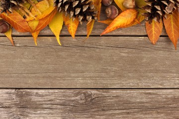 Autumn top border of colorful leaves and pine cones against a rustic wood background