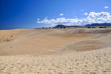 Fototapeta na wymiar Natural Park of Dunes of Corralejo in Fuerteventura