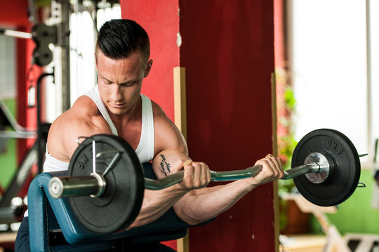 phisique fitness competitor works out in gym lifting dumbbells