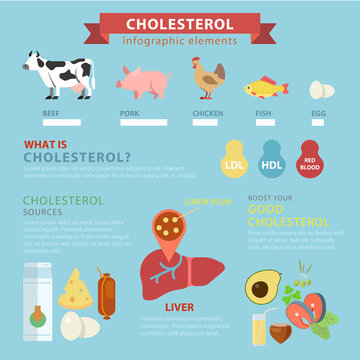 Cholesterol Sources Flat Vector Infographic: Meat Ingredients