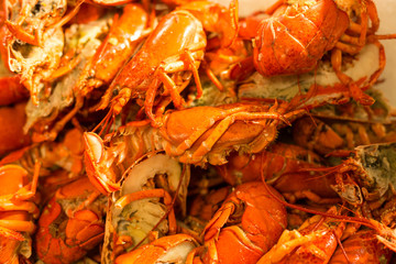 lobster