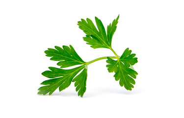 parsley