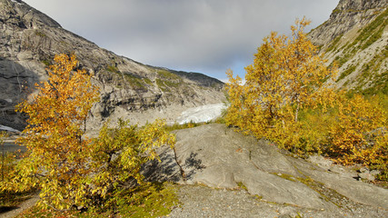 Glacier Nigardsbreen, Norway