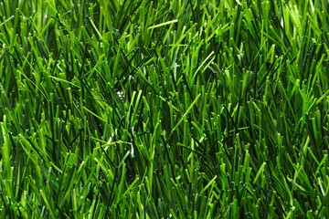 Artificial grass for multi-sports playground.