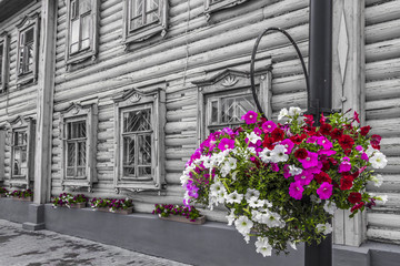 Fototapeta na wymiar Flowers on street