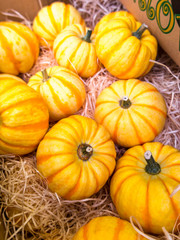 ハロウィンのカボチャ