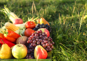 fresh organic fruit and vegetables