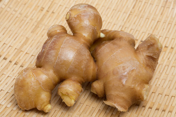ショウガ