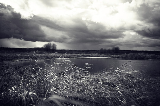 black and white photo autumn landscape