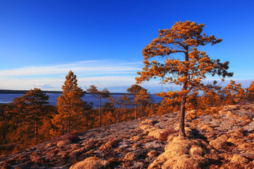 Fototapeta premium fantastic summer sunset - landscape in the north of the mountain forest lake