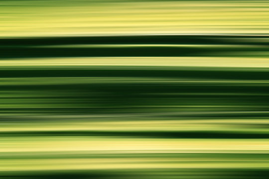blurred green organic texture