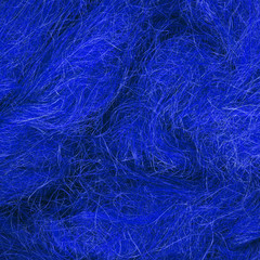 Wild hair in a close-up