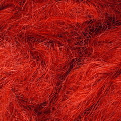 Wild hair in a close-up