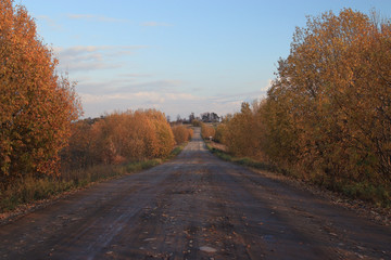 old road on the ranch