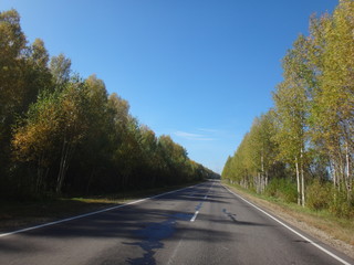 Fototapeta premium Трасса, окруженная желто-зелеными осенними деревьями