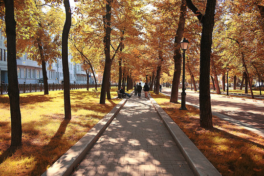 autumn leaf fall landscape in a city park