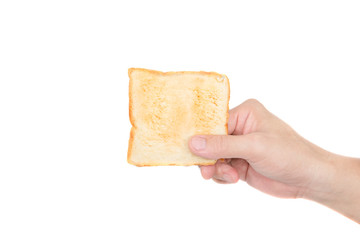 Hand holding toast bread on white background
