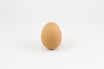 hen egg on white background