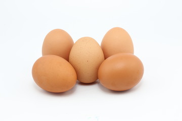 hen egg on white background