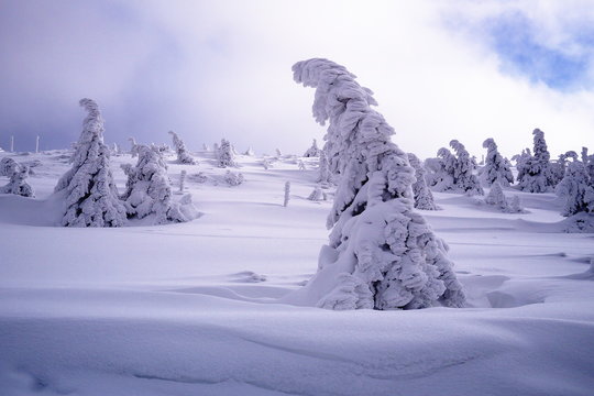 Winter scenery in Krkonose National Park