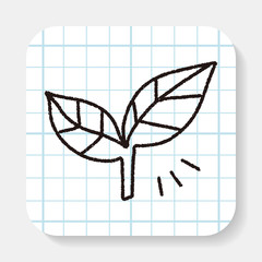 leaf doodle drawing