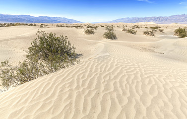 Sand dunes in Death Valley National Park, California, USA.