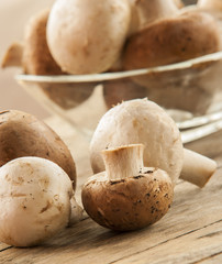 champignon mushroom
